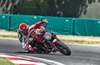 Ducati Monster 1200 R 2019 - Bild 64 Ducati Monster 1200 R 2019 - Bild 64